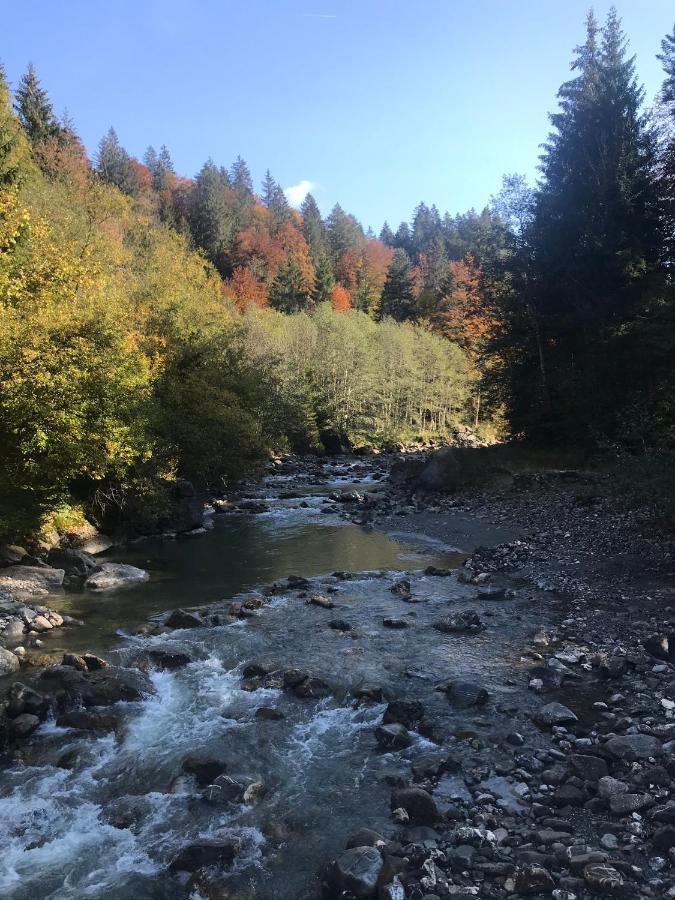 Ferienwohnung Morgentau Am Rande Der Wildnis Sibratsgfäll Exteriér fotografie